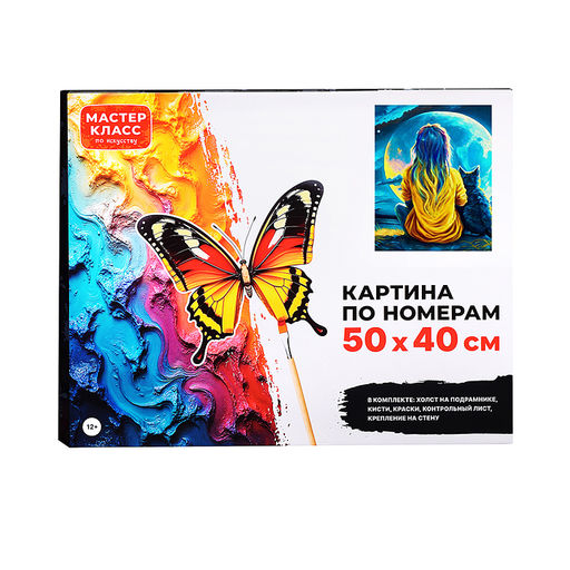Набор для рисования "Картина по номерам 50х40 см. Тишина в ночи"