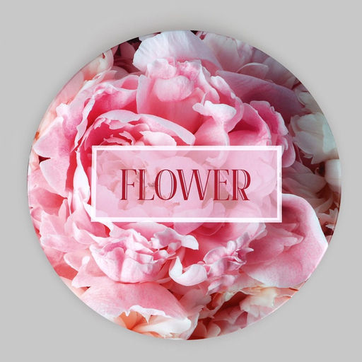 Набор шляпных коробок для цветов 4 в 1, упаковка подарочная, Пионы, 20?17.5 - 16?14 см