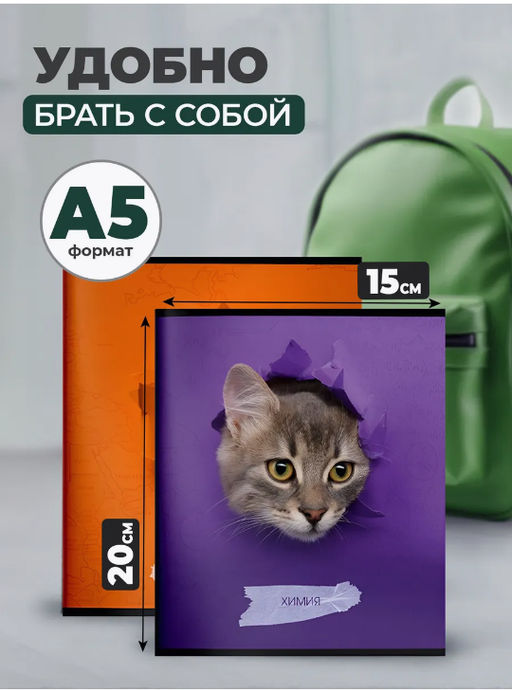 Комплект тетрадей 48 л. А5 клетка/линия, на скрепке,ЛЮБОПЫТНЫЙ КОТИК ,Schoolformat - Buro фото 6