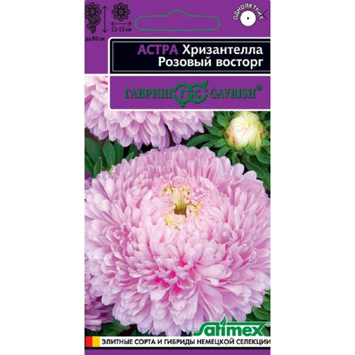 Астра Хризантелла Розовый восторг хризантемовидная 0,05г (Гавриш)