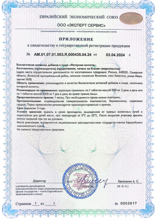 (ЧЗ) БАД Янтарная кислота 60 таблеток 500 мг тм AWOCHACTIVE  фото 9