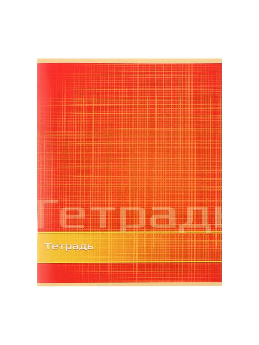 Цена за 10 шт. Тетрадь 48 листов в линейку, Calligrata «Цвет и графика», серые листы, МИКС