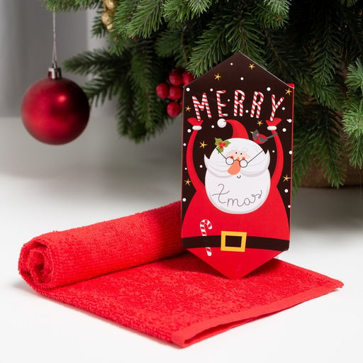 Цена за 2 шт. Полотенце махровое Этель Merry, 30?30 см, хлопок 100%