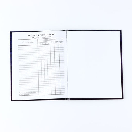 Дневник школьный для 1-11 класса, в твердой обложке, 40 л. «Неон»