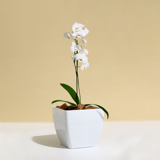 Цена за 2 шт. Кашпо для цветов, 13×13 см, 1.5 л, пластик, белое