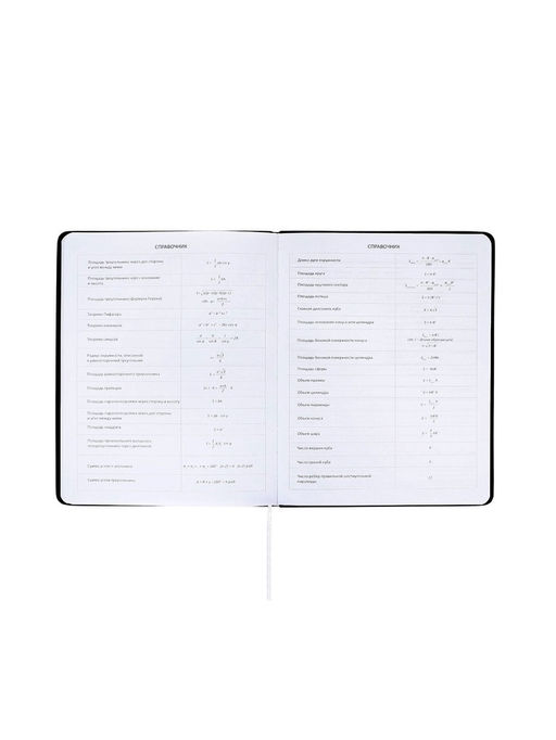 Дневник школьный 1-11 класс, deVENTE. Realistic, искусственная кожа, шелкография