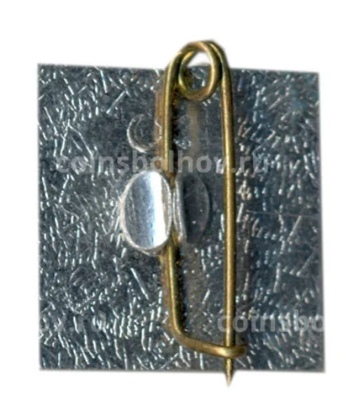 Значок Центральный Выставочный зал