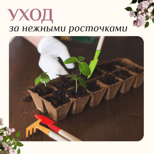 Цена за 3 шт. Набор садового инструмента, 3 предмета: рыхлитель, совок, грабли, длина 20 см, Greengo
