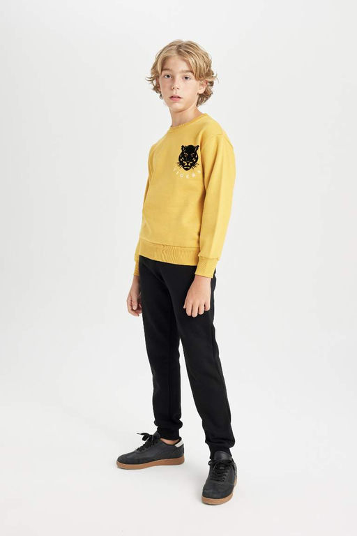 Толстовка для мальчиков с круглым вырезом и тигровым принтом - Defacto фото 2