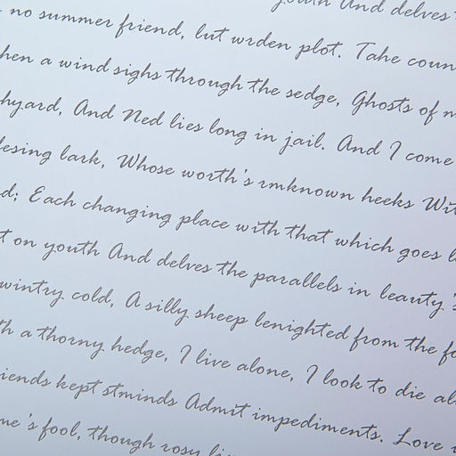 Пленка для цветов Послание, белая, 0,6 х 10 м - UPAK LAND фото 2