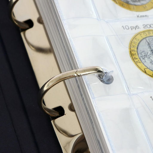 Альбом для монет на кольцах 225×265 мм, «Памятные монеты РФ», обложка ламинированный картон, 13 листов и 13 цветных картонных вставок