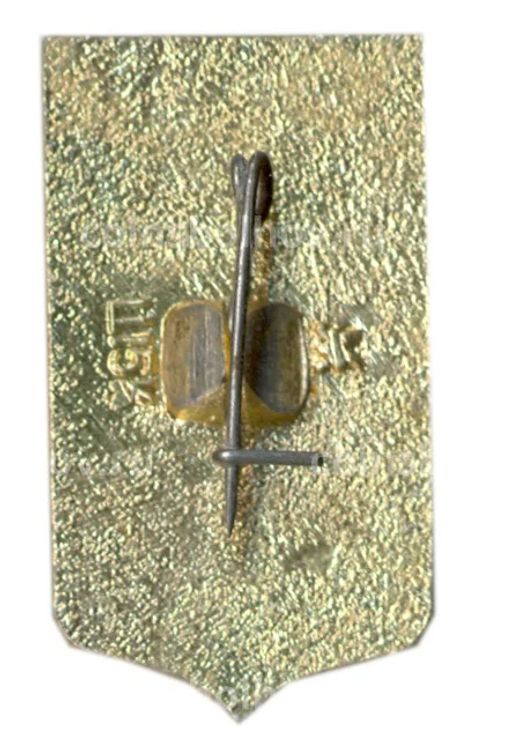 Значок Пенза