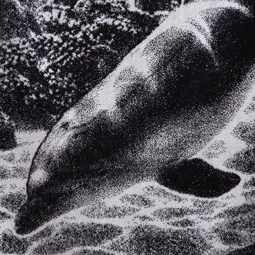 Полотенце махровое Этель ЧБ Дельфин, пестроткань, 70х130 см  фото 2