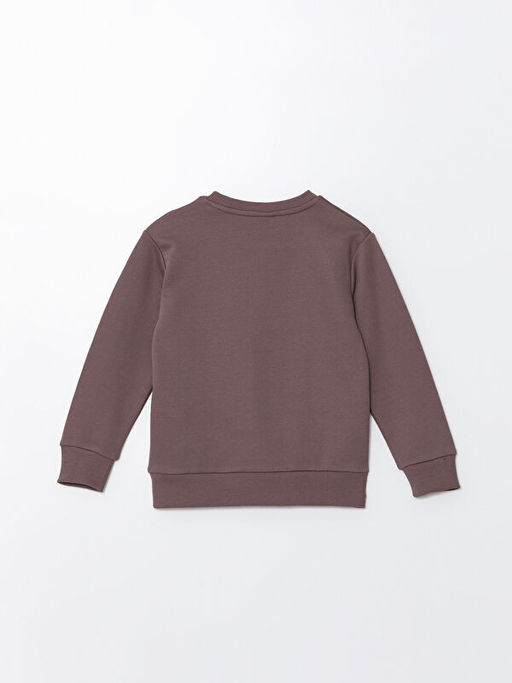 Bisiklet Yaka Basic Uzun Kollu Erkek ?ocuk Sweatshirt - Waikiki фото 3