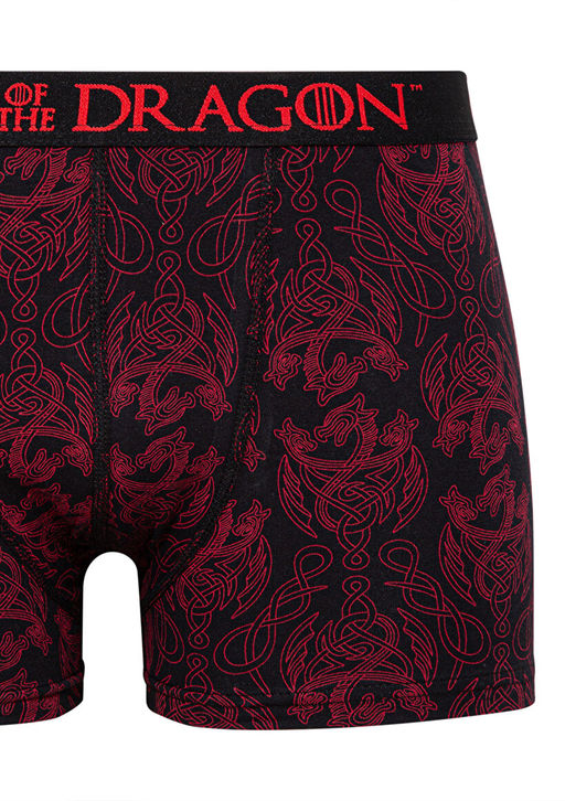 Game of Thrones Bask?l? Boxer - Mavi фото 2