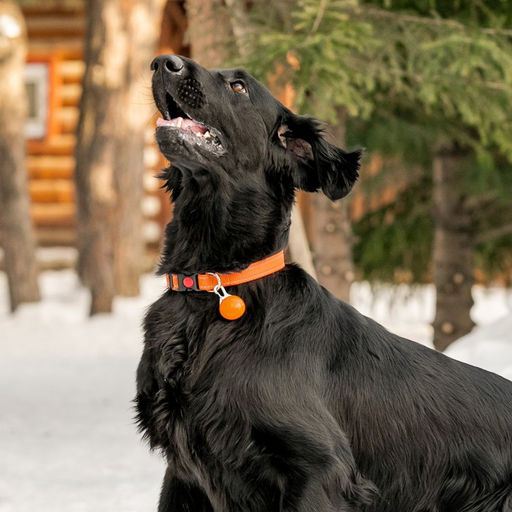 Маячок Сфера 3 режима свечения оранжевый - Пижон фото 6