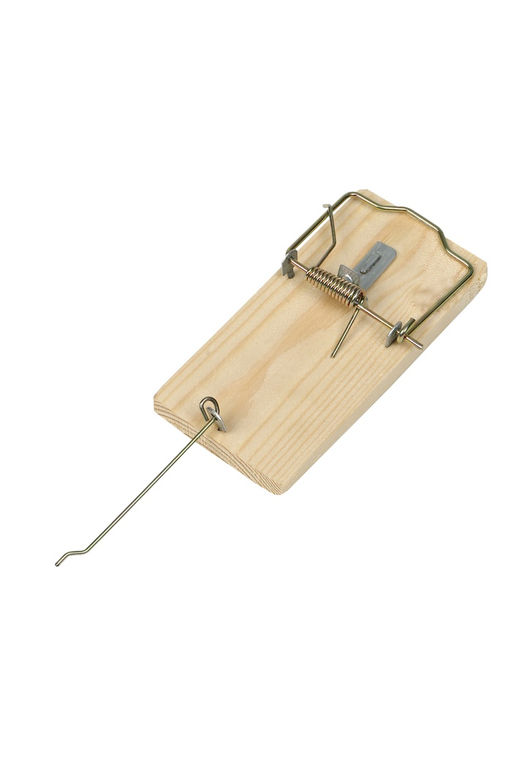 Цена за 2 шт. Крысоловка, 6 × 12 см, деревянная, Greengo