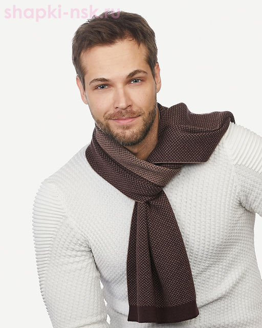 489 T Шарф мужской (30 х 135) - Wag фото 2