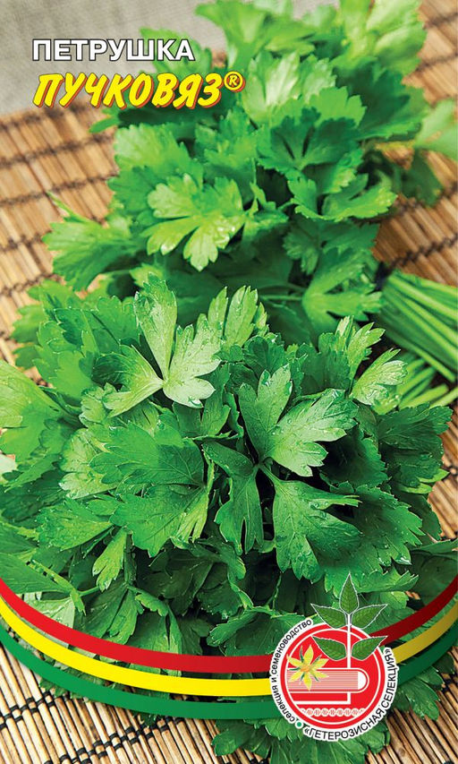 Петрушка листовая ПУЧКОВЯЗ Листья крупные, тёмно-зелёные, гладкие, нежные, с высоким содержанием витаминов!