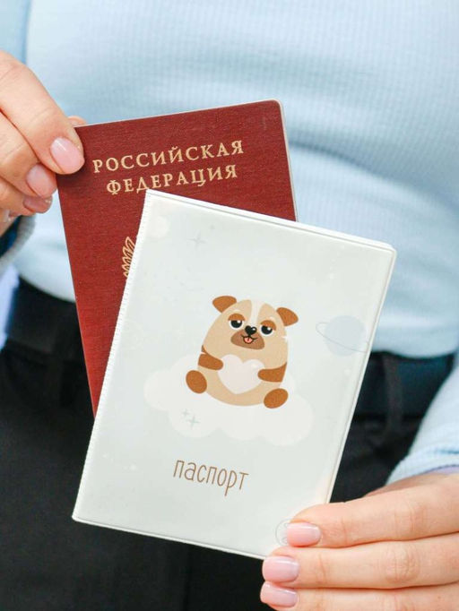 ОБЛОЖКА ДЛЯ ПАСПОРТА Space dog, плотность 600 мкм