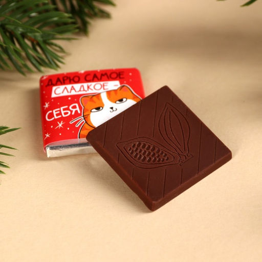 Подарочный набор новогодний «Котэ», печенье с предсказанием, шоколад, послание с пожеланием