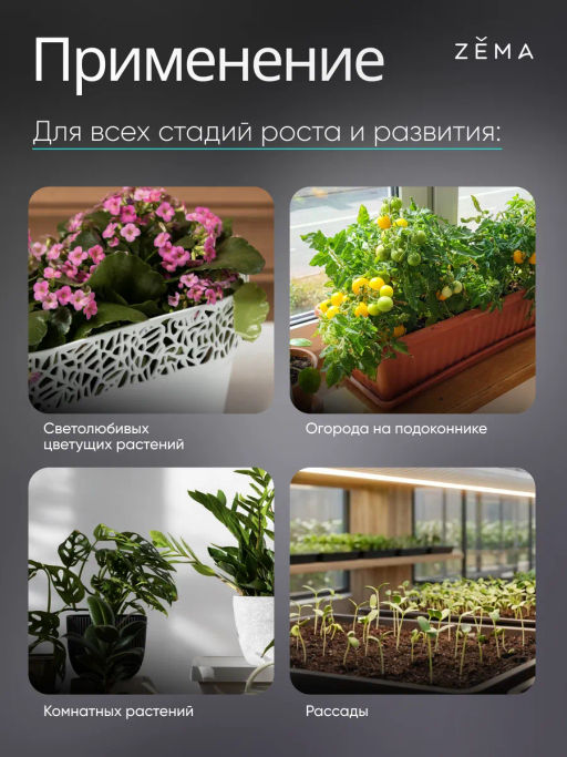 Фитосветильник ZEMA ZML-0135
