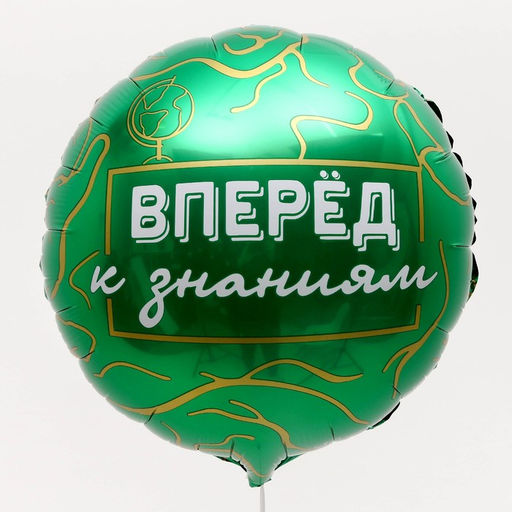 Цена за 5 шт. Воздушный шар фольгированный 18", «Вперёд к знаниям», круг