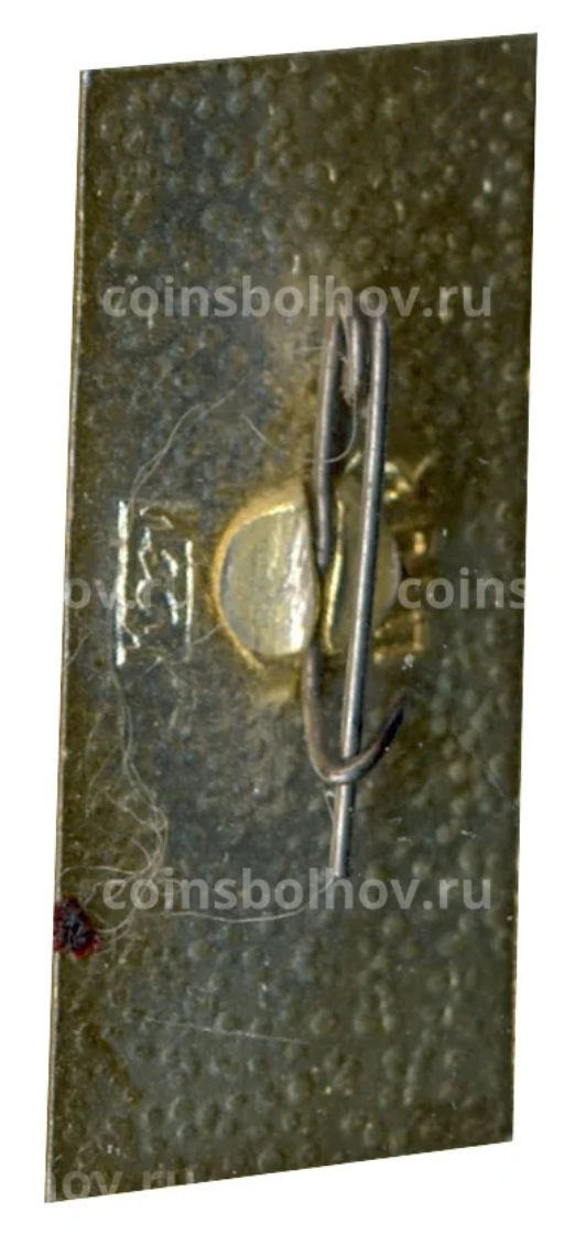 Значок Нижний Новгород