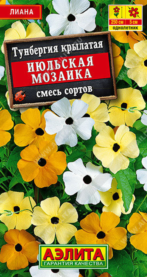 1813A Тунбергия Июльская мозаика, смесь сортов 0,3гр