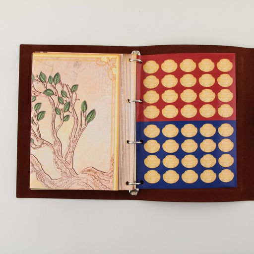 Родословная книга "Книга нашей семьи", красн., 31 х 22 см
