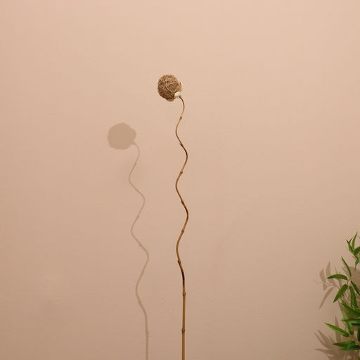 Сухоцвет,150 см, натуральный - Simaland фото 7