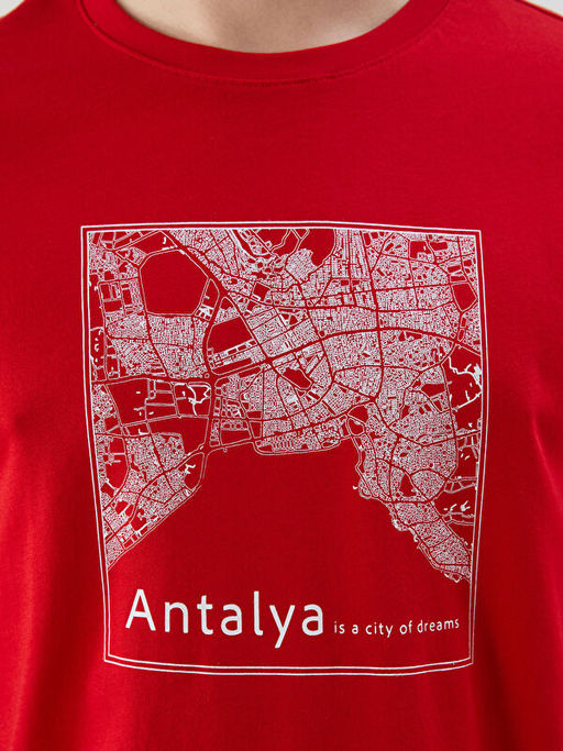 Bisiklet Yaka Antalya Bask?l? Penye Erkek Ti??rt