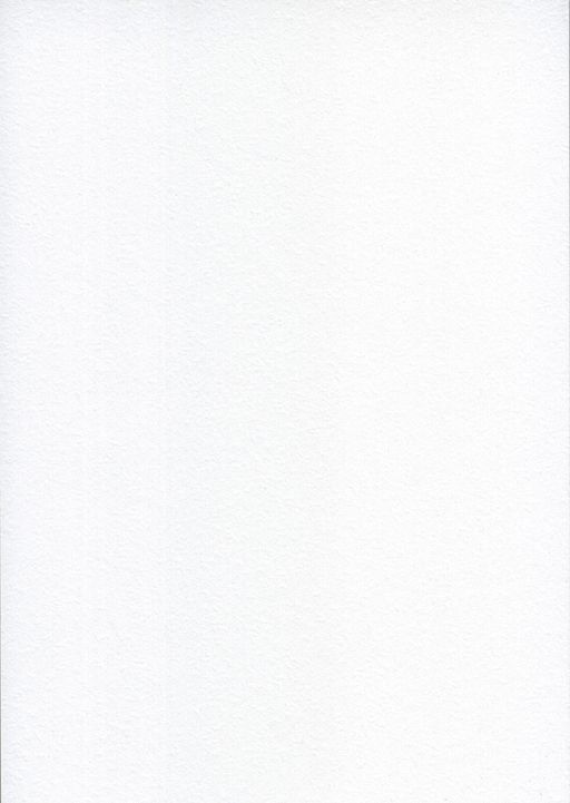 Аква-колор IZO-AWG-A4 Изостудия Альбом для акварели 100% целлюлоза 200 г/м2 A4 30 х 21 см склейка с одной стороны 12 л. Пятнистый олень гознак тисненая - Светоч фото 4