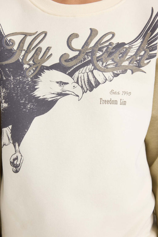 Bisiklet Yaka Bask_l_ __i Yumu_ak T_yl_ Sweatshirt Erkek _ocuk - Defacto фото 4