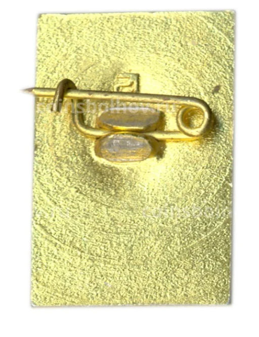 Значок Петродворец