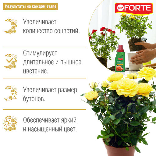 Компл. мин. удобр. "Bona Forte Красота" Для роз и хризантем фл.285мл