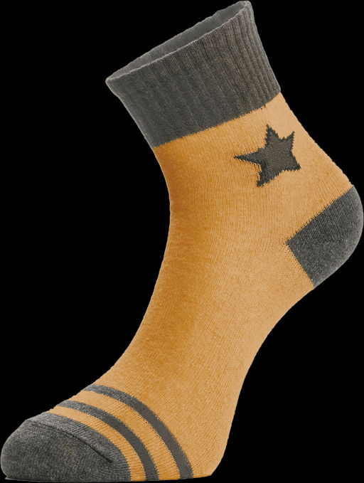 Цена за 2 пары. Носки классические CHOBOT Носки детские 30s-27