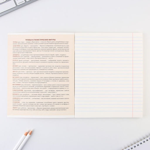 Предметная тетрадь, 48 листов, КОТ, со справочными материалами Литература, обложка мелованный картон 230 гр., внутренний блок в линейку 80 гр., белизна 96%,блок №1. - Artfox study фото 3