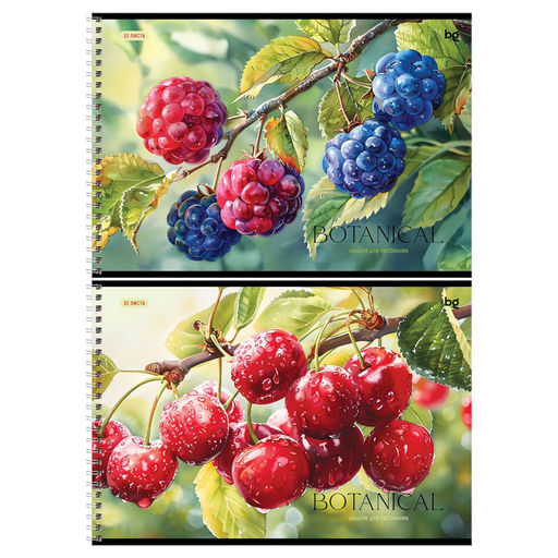 Альбом для рисования BG А4 32л. на спирали "Botanical" (АР4гр32 08638) обложка картон