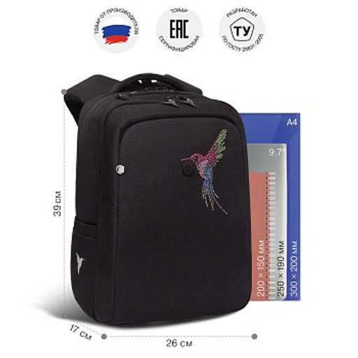 RG-566-8 Рюкзак школьный