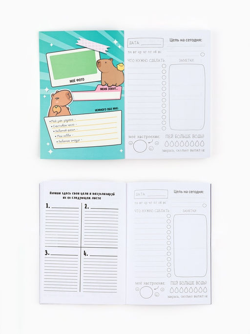 Блокнот творческий с заданиями А6+, 120 листов «Капибара»