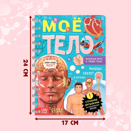 Энциклопедия с прозрачными страницами «Моё тело», 32 стр.