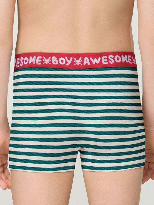 BUHB3307(2шт. в упаковке) трусы для мальчиков - Pelican фото 3