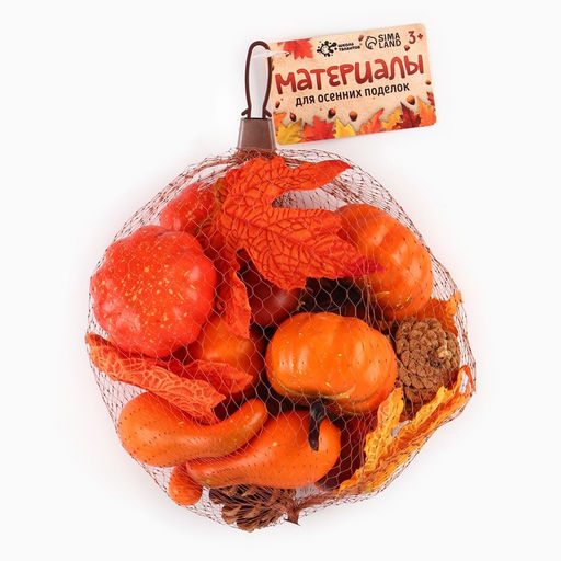 Материалы для творчества «Осенние поделки», в сетке