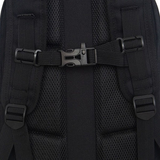 RAw-594-1 Рюкзак школьный - Grizzly фото 21