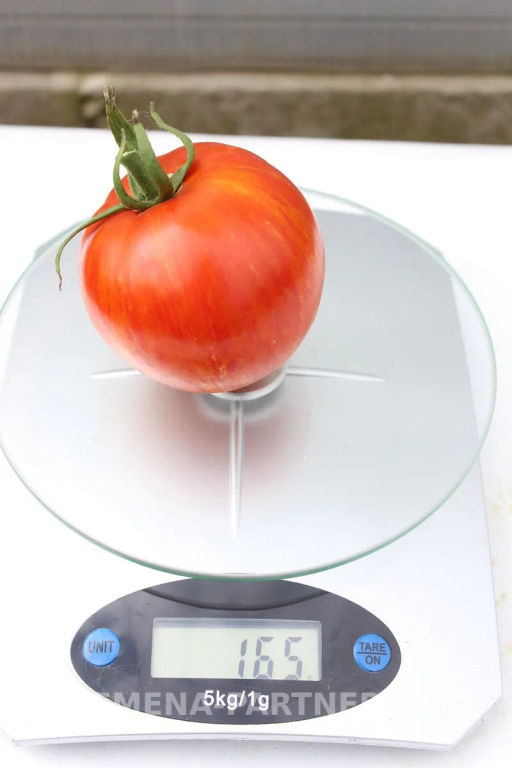 Томат Сердцевидный Полосатый - Партнер фото 7