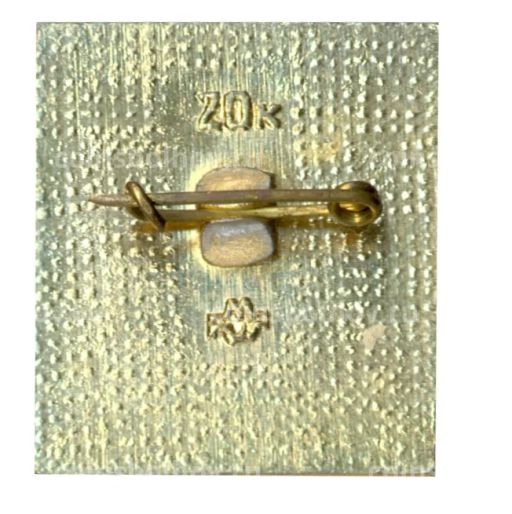 Значок Волгодонск