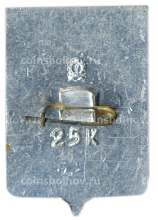 Значок Ижевск