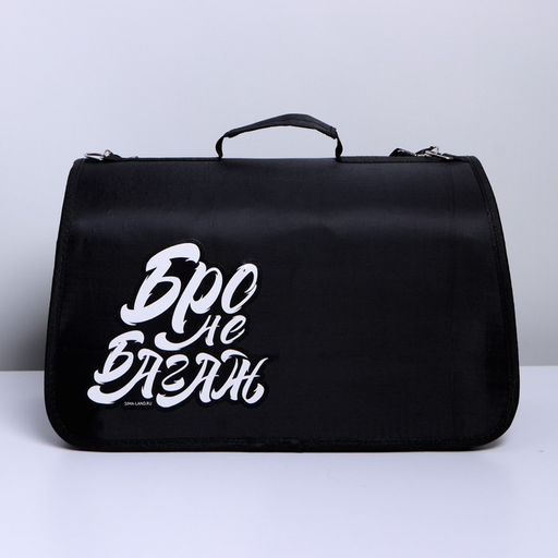 Сумка - переноска раскладная Бро не багаж 43х27х20 см - Пушистое счастье фото 4