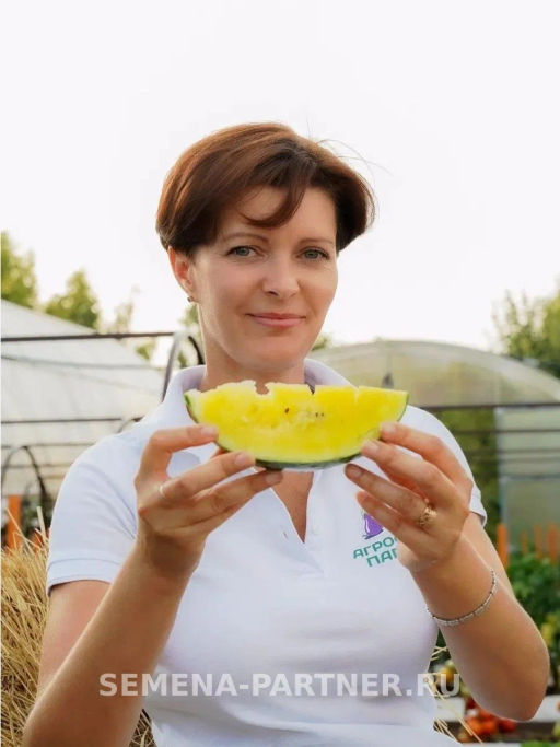 Арбуз Взрыв - Партнер фото 3